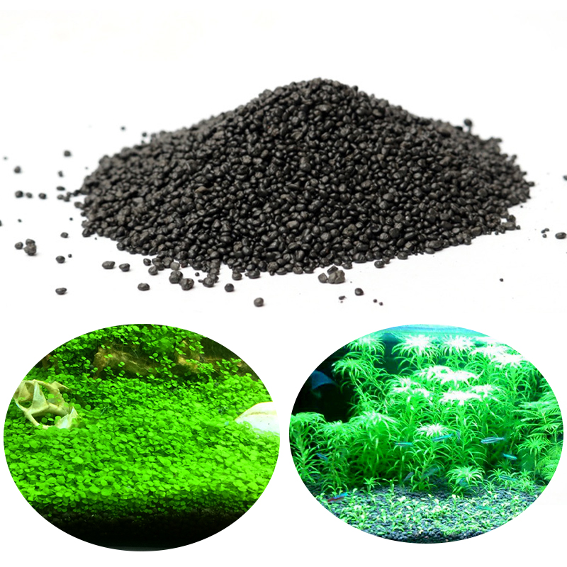 Aquarium Planted Seeds - Akvaryum Su Çim Çamur Bitki Tohumu