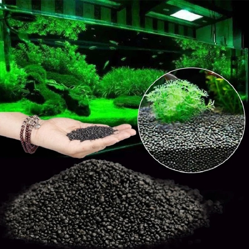 Aquarium Planted Seeds - Balık Tankı Su Çim Çamur Bitki
