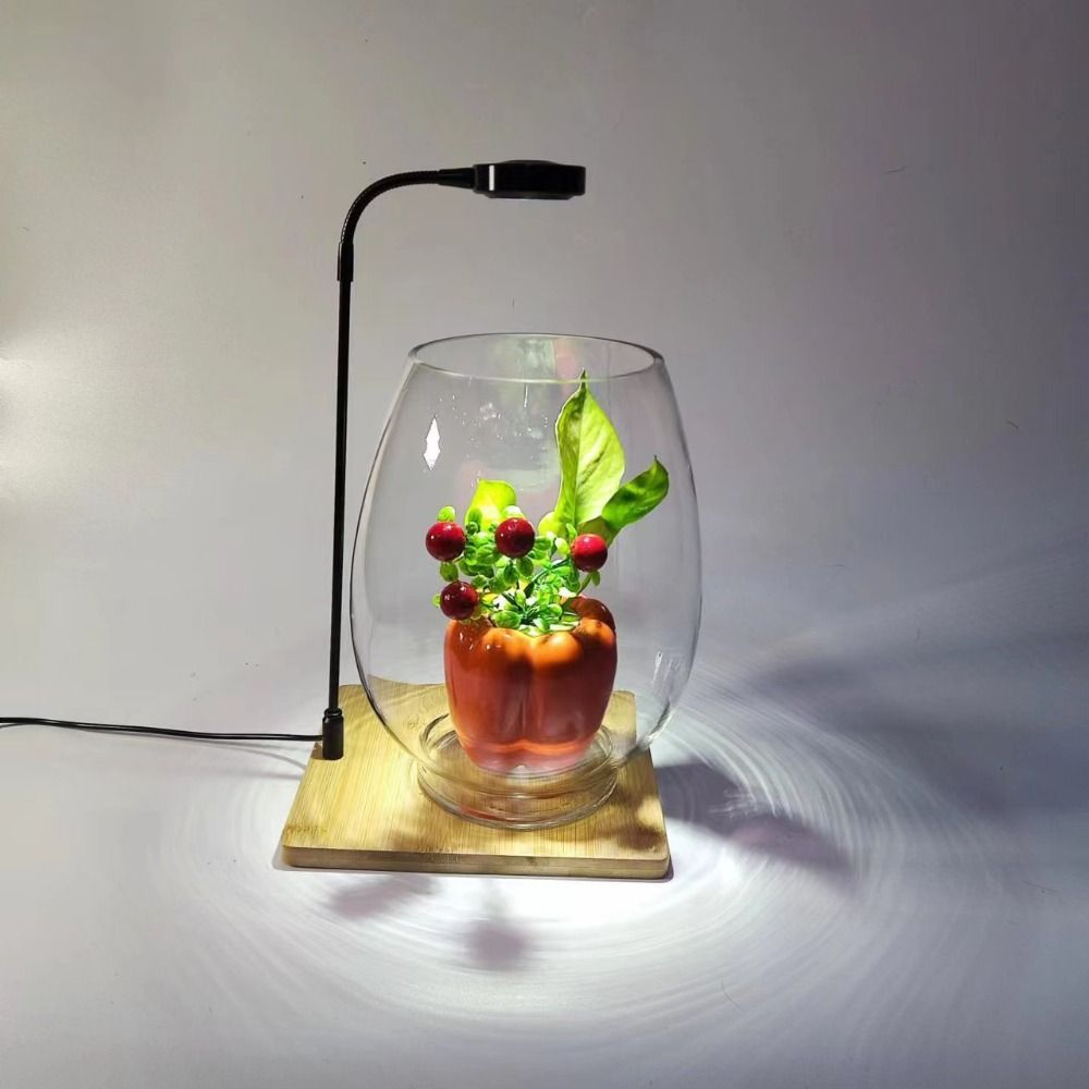 Aquarium Plant On Wood - 10W Akvaryum Bitki Yetiştirme Lambası Ahşap