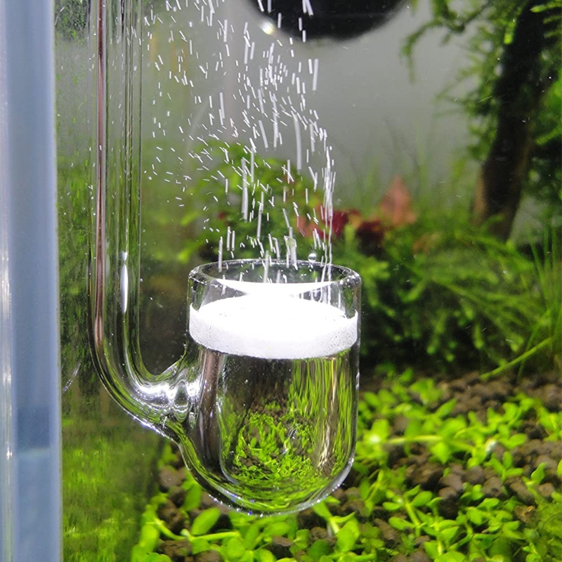 Planted Aquarium Co2 - Akvaryum için D0AD Cam CO2 Difüzörü