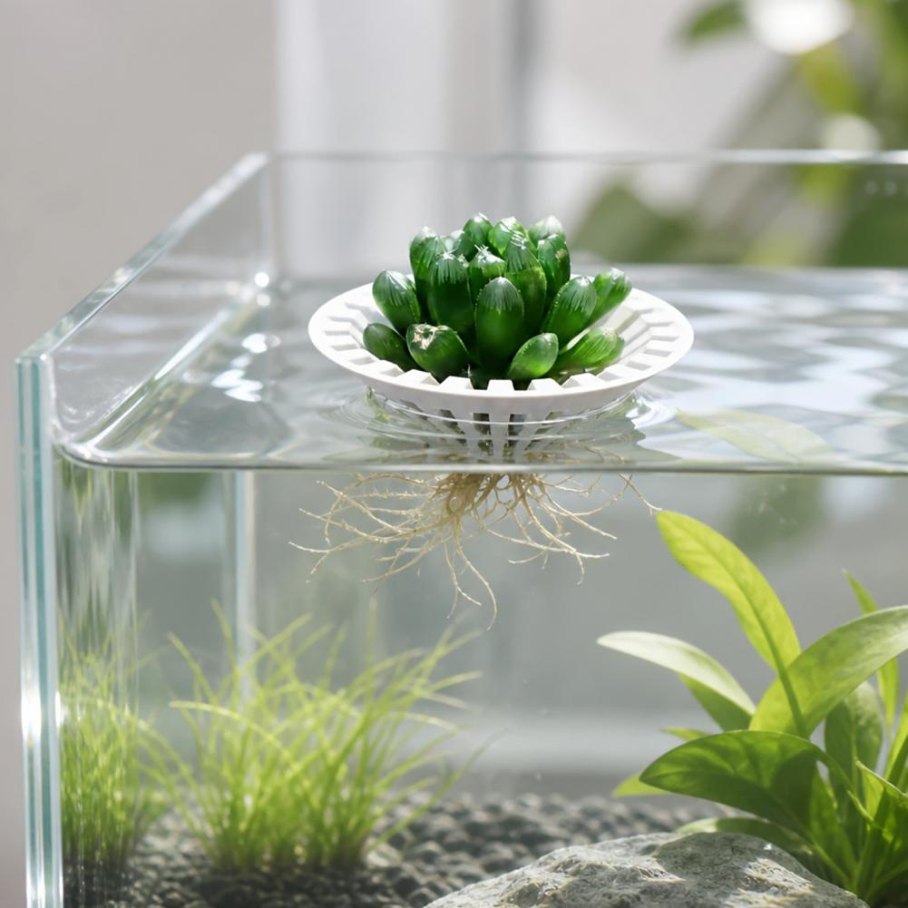 Planted Aquarium Aquascape - Akvaryum Hidroponik Saksı 3D Baskılı Yüzen