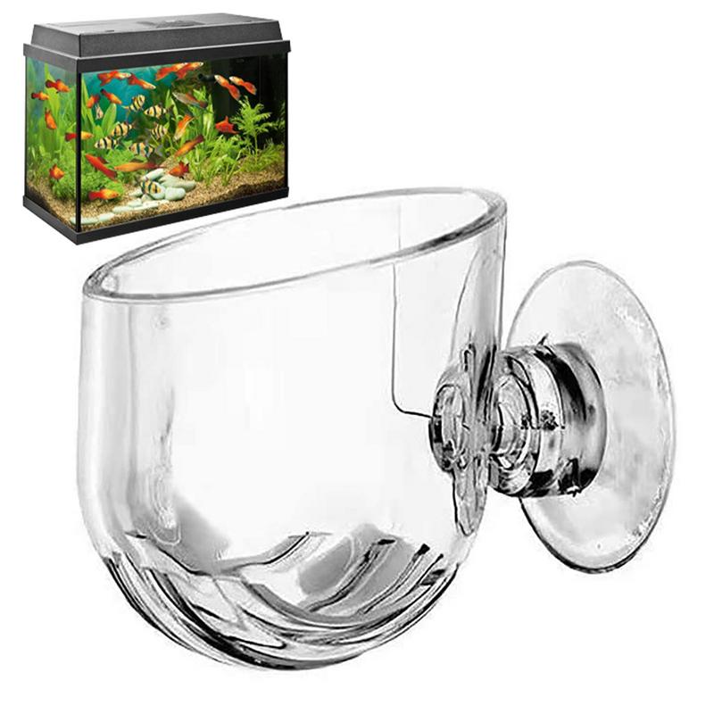 Aquarium Planted Seeds - Akrilik sucul bitki fincan akvaryum su