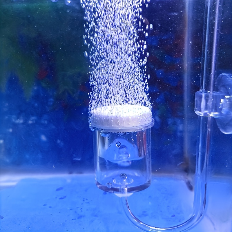Planted Aquarium Co2 - Akvaryum Cam CO2 Atomizer Difüzör Kabarcık