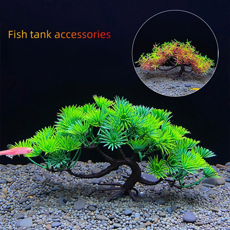 Aquarium Planted Seeds - Akvaryum Bonsai Ağacı, Bitki, Balık Tankı