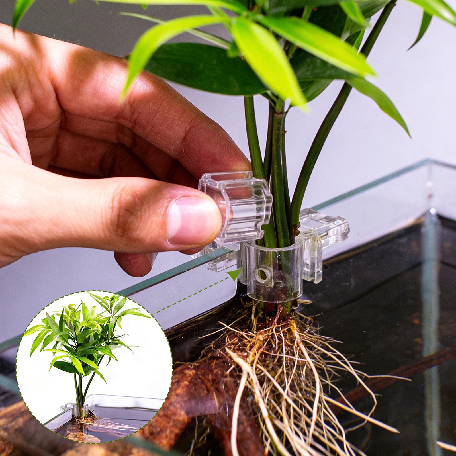 Planted Aquarium Mini - Mini Balık Tankı Saksı 6 Adet