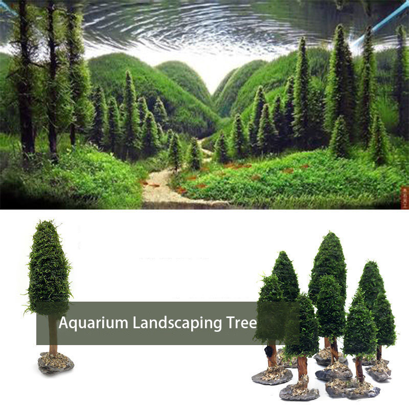 Aquarium Planted Seeds - Akvaryum dekorasyon sucul bitkiler yosun ağacı