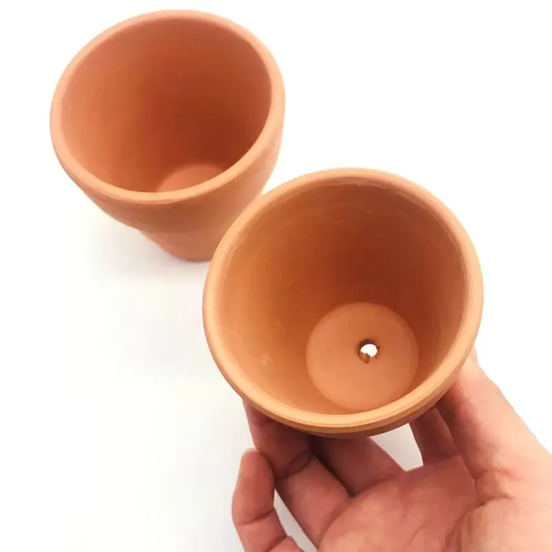 Planted Aquarium Mini - Kırmızı Çamur Akvaryum Dekorasyon Su Çim