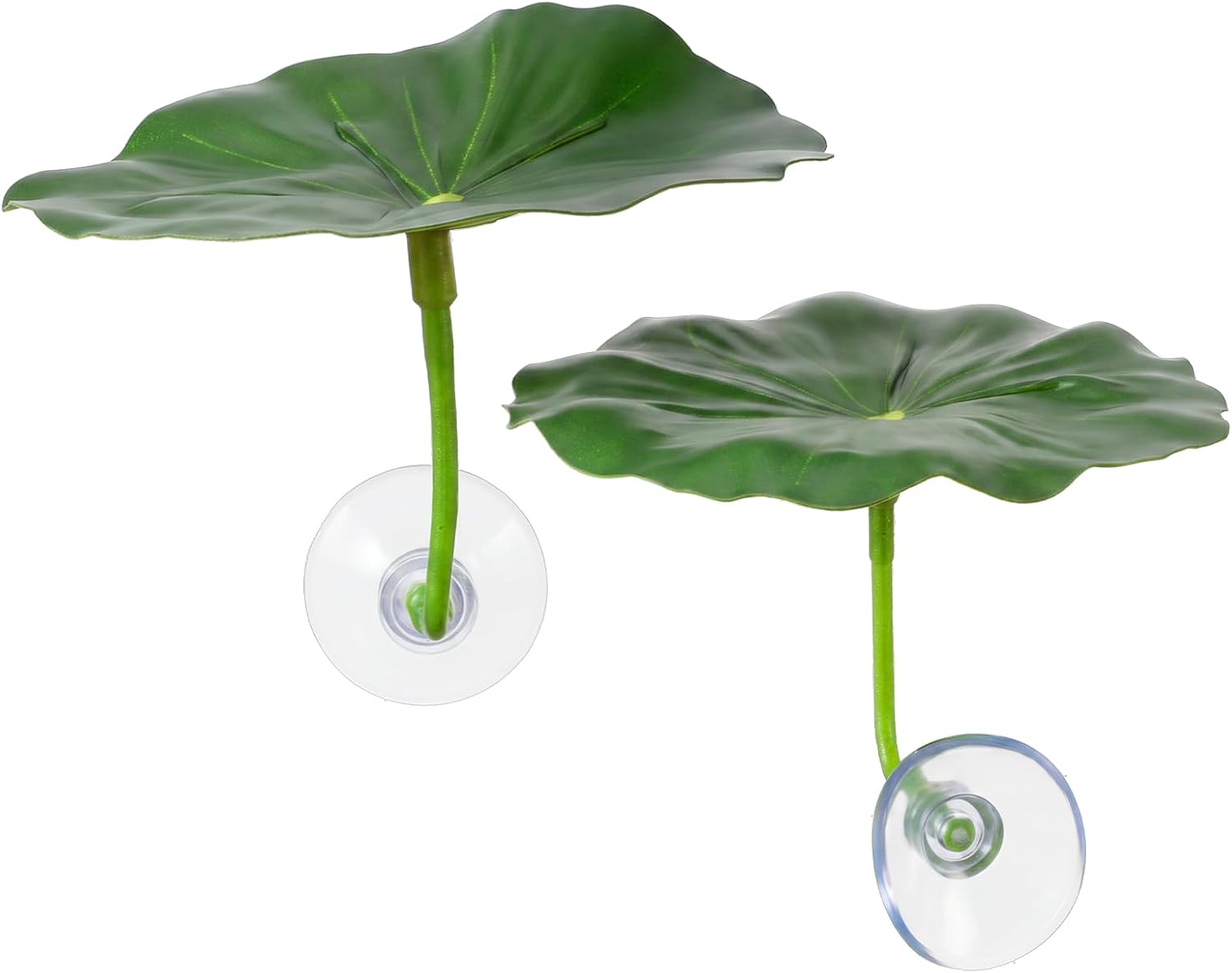 Balık Yerleşim Yeri Sandalyesi - Planted Aquarium Best Fish incelemesi ve fiyatı