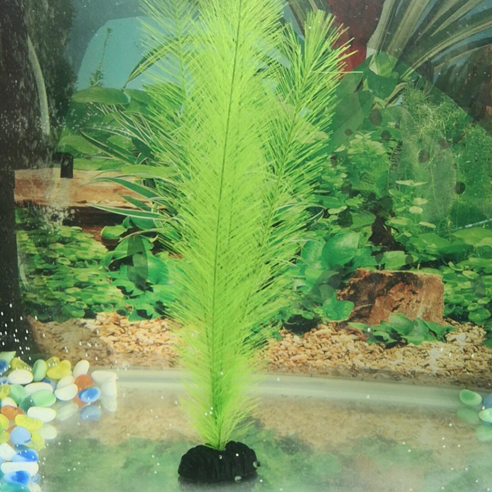 1/3 adet 28/40cm akvaryum balı - Aquarium Plant Live incelemesi ve fiyatı