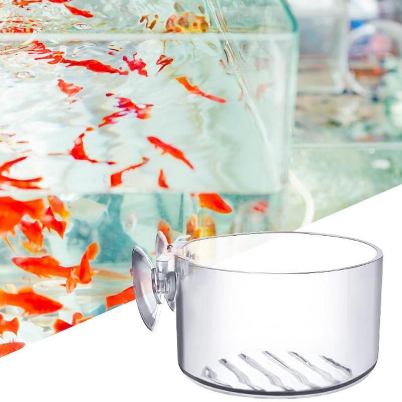Akvaryum saksı cam silindir fi - Aquarium Planted Seeds incelemesi ve fiyatı