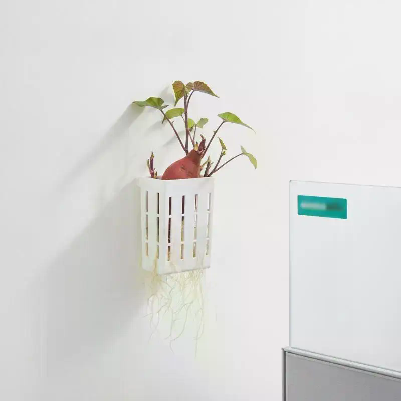1 Adet Hidroponik Destek Sepet - Aquarium Planted Tank incelemesi ve fiyatı