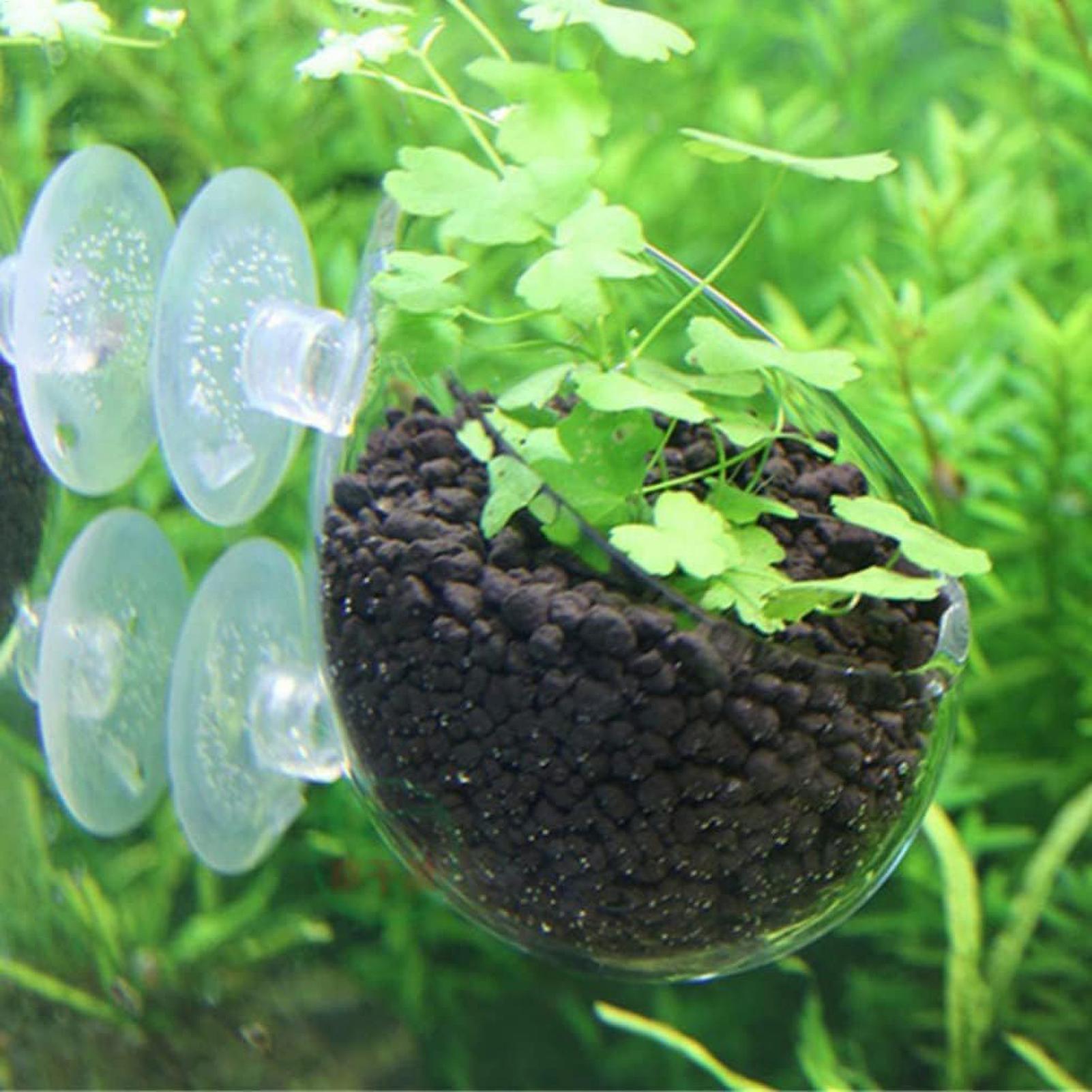 Akvaryum Bitki Tutucu Cam Su B - Aquarium Plant Live incelemesi ve fiyatı