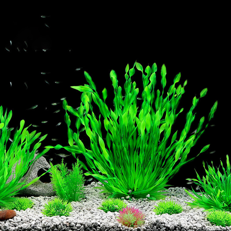 13/23/32/36/40cm Akvaryum Yapa - Aquarium Planted Seeds incelemesi ve fiyatı