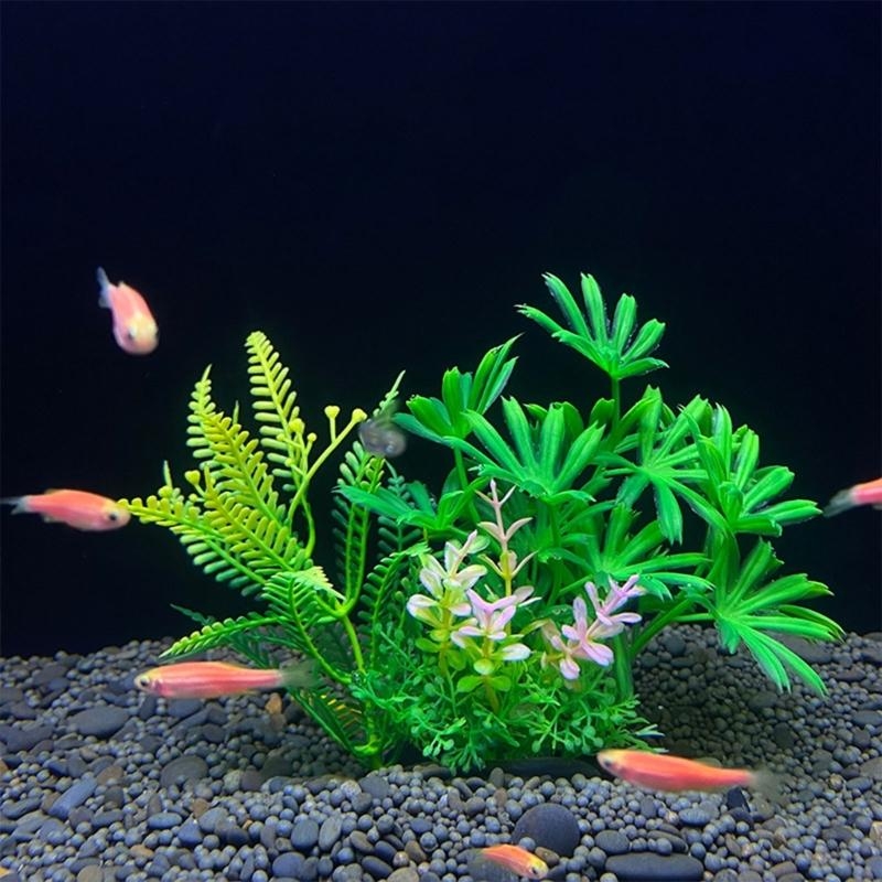 Yapay Akvaryum Dekorasyon Bitk - Planted Aquarium Best Fish incelemesi ve fiyatı