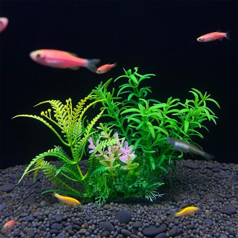 Yapay Akvaryum Dekorasyon Bitk - Planted Aquarium Best Fish incelemesi ve fiyatı