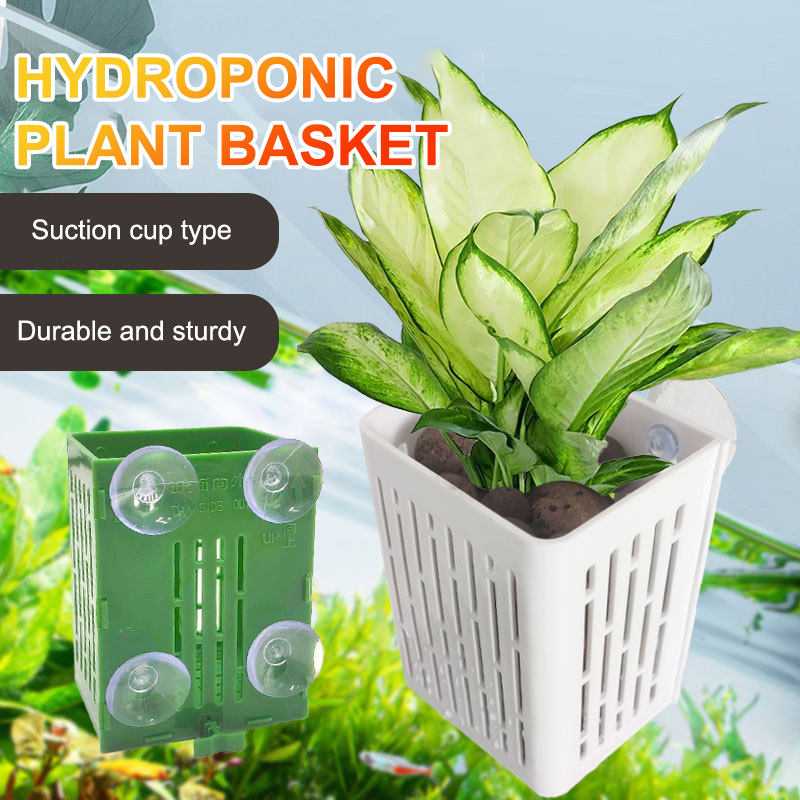Asılı Vantuzlu Kanca Akvaryum  - Planted Aquarium Aquascape incelemesi ve fiyatı