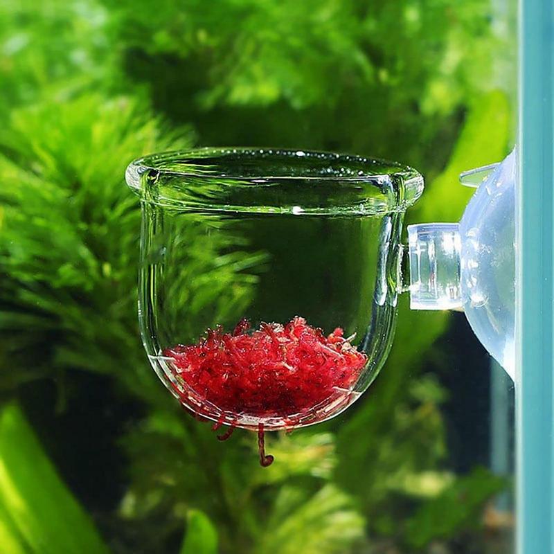 Akrilik sucul bitki fincan akv - Aquarium Planted Seeds incelemesi ve fiyatı