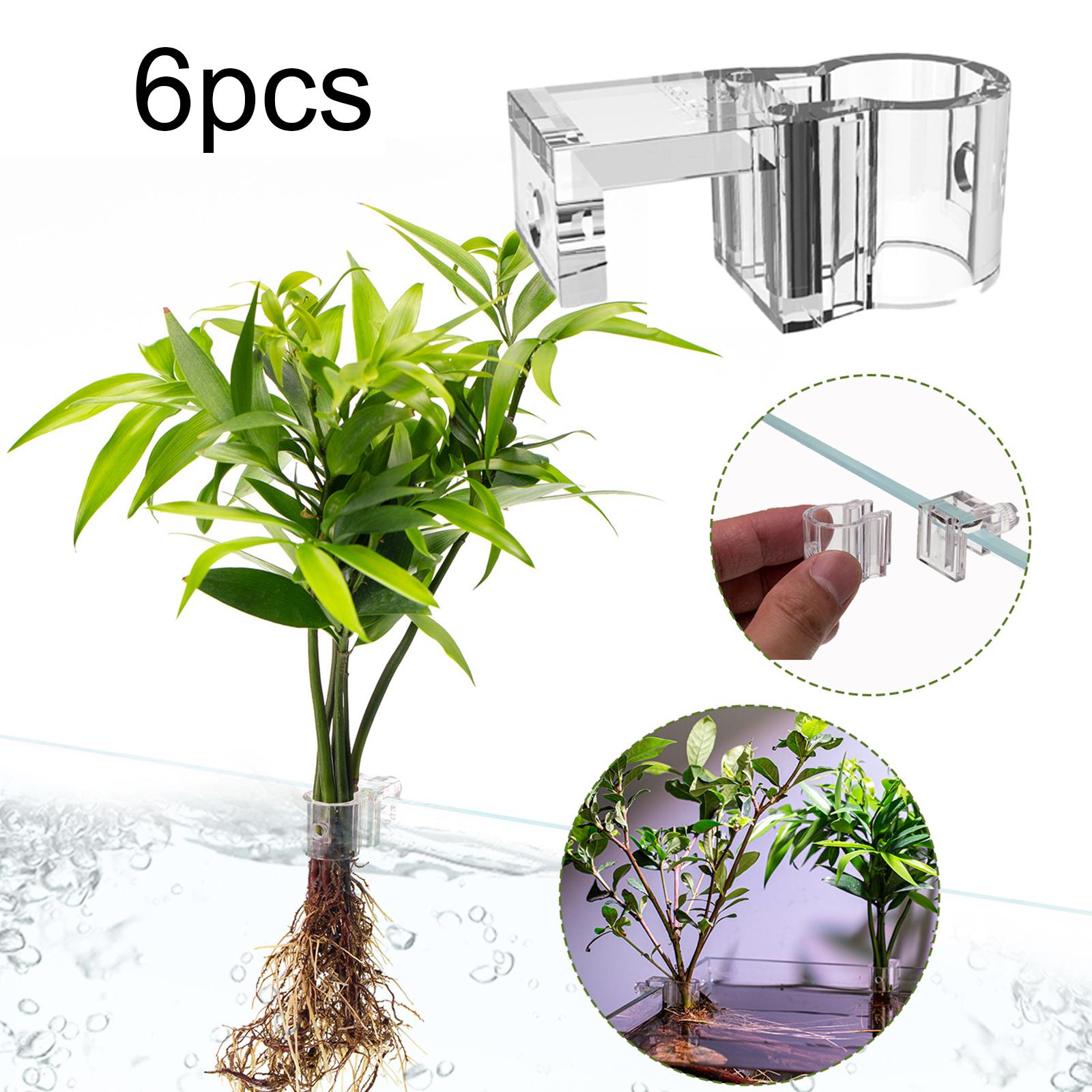 6 Adet Akvaryum Bitki Tutucu D - Planted Aquarium Mini incelemesi ve fiyatı