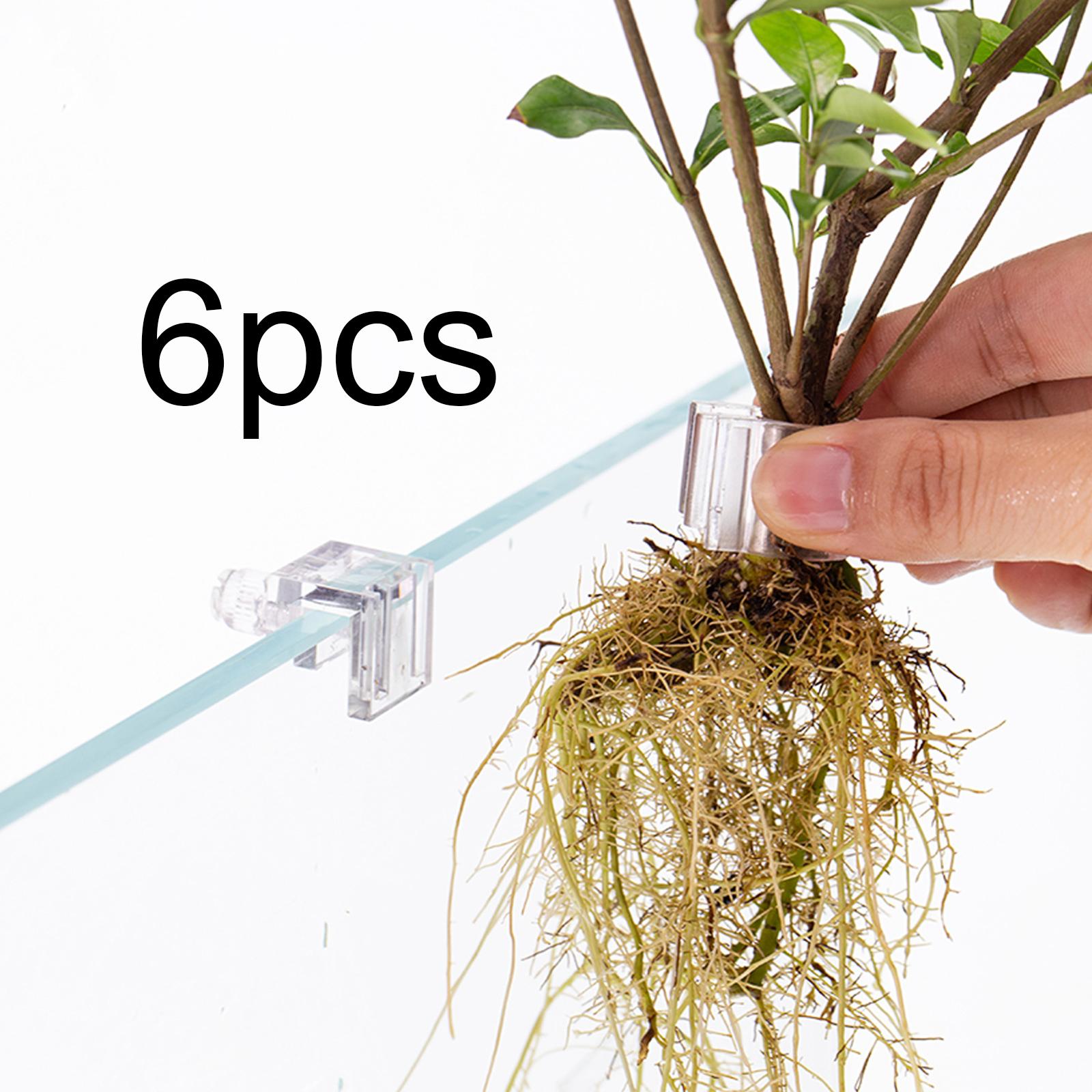 6 Adet Akvaryum Bitki Tutucu D - Planted Aquarium Mini incelemesi ve fiyatı