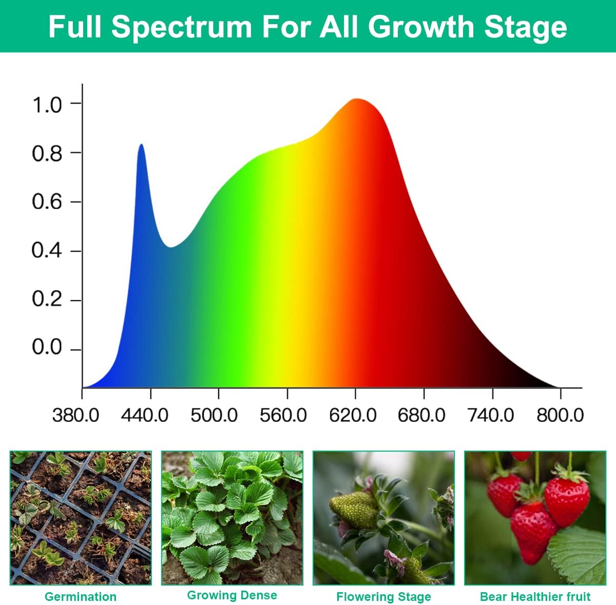 LED Büyümek Lambalar Bitki Tam - Aquarium Planted Seeds incelemesi ve fiyatı