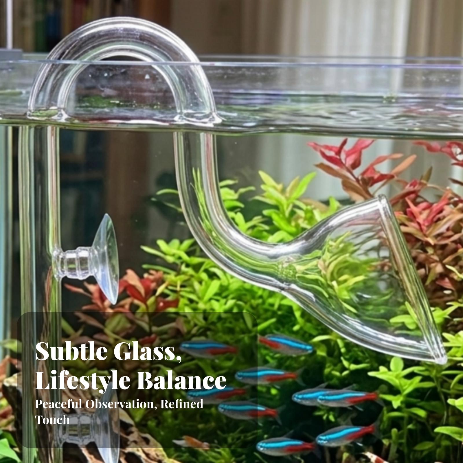 Akvaryum Filtresi Giriş ve Çık - Planted Aquarium Aquascape incelemesi ve fiyatı