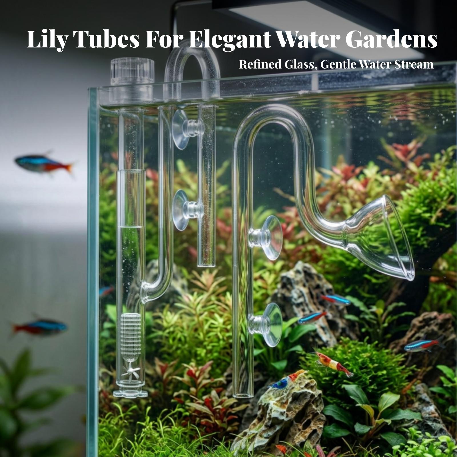 Akvaryum Filtresi Giriş ve Çık - Planted Aquarium Aquascape incelemesi ve fiyatı