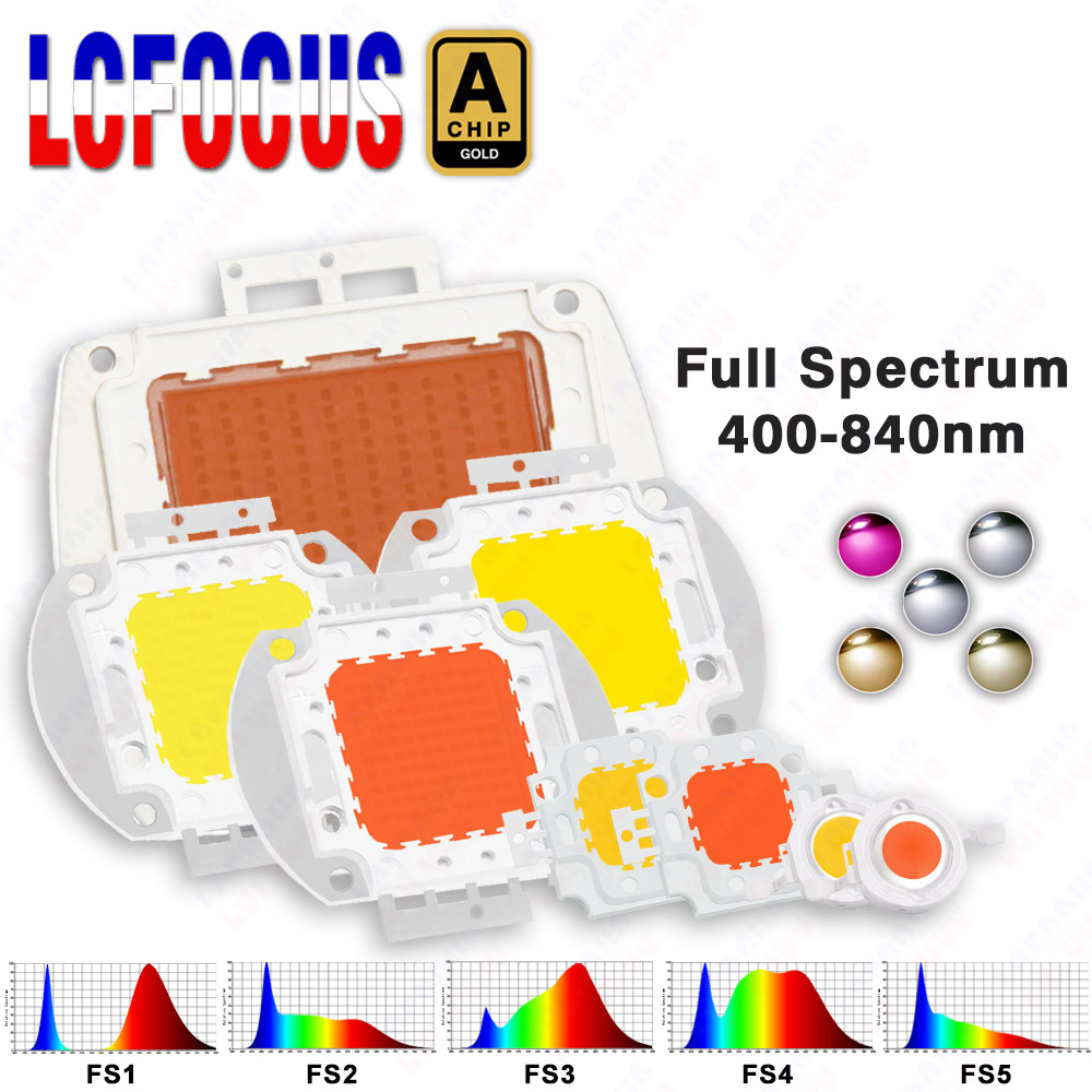 1W 3W 5W 10W 20W 30W 50W 100W  - Aquarium Planted Seeds incelemesi ve fiyatı