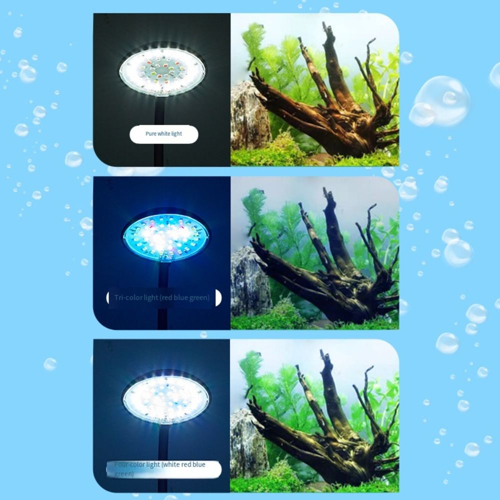 Mini Balık Tankı Klipsli Lamba - Aquarium Plant Live incelemesi ve fiyatı