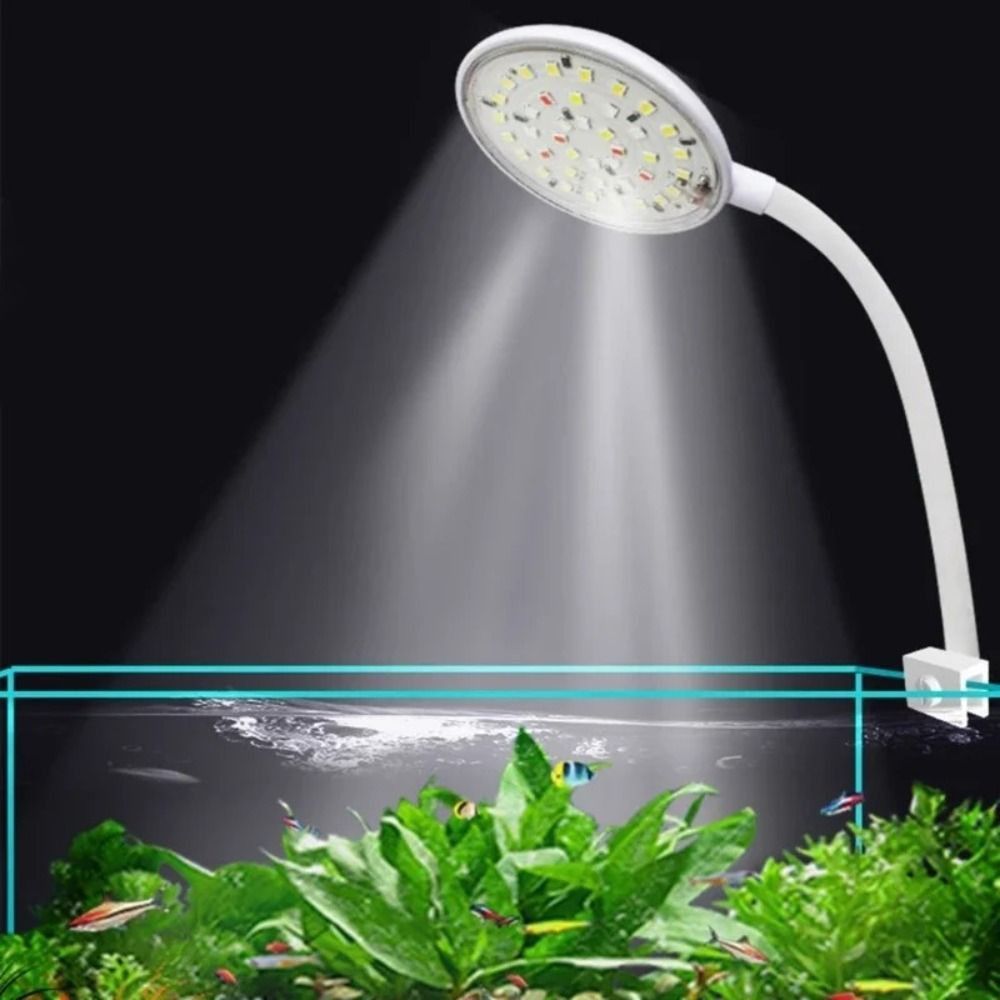 Mini Balık Tankı Klipsli Lamba - Aquarium Plant Live incelemesi ve fiyatı