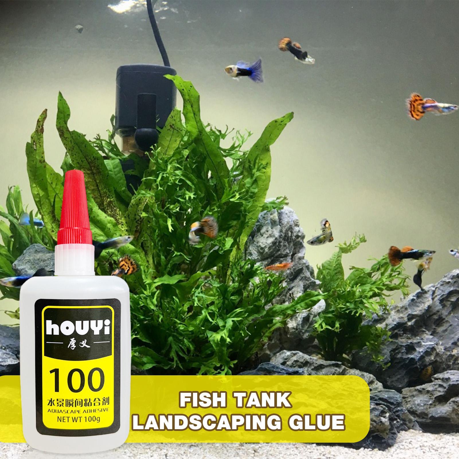 50/100g Şeffaf Anında Yapışan  - Planted Aquarium Aquascape incelemesi ve fiyatı