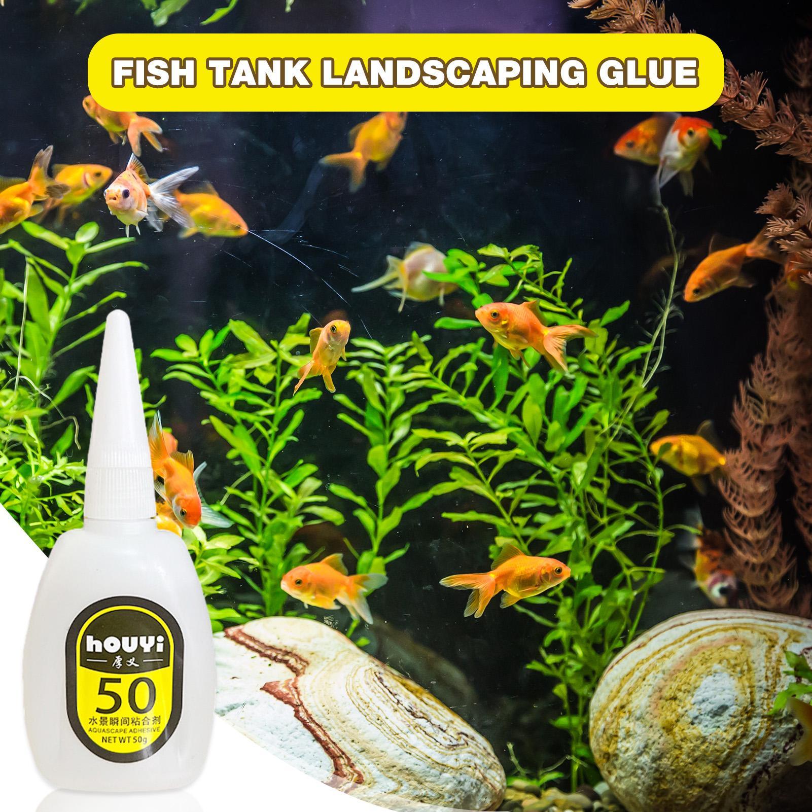 50/100g Şeffaf Anında Yapışan  - Planted Aquarium Aquascape incelemesi ve fiyatı