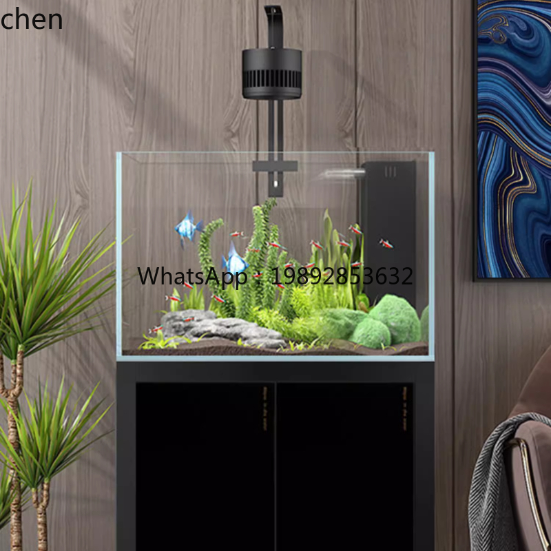 YGG ev tipi oturma odası temiz - Aquarium Plant Live incelemesi ve fiyatı
