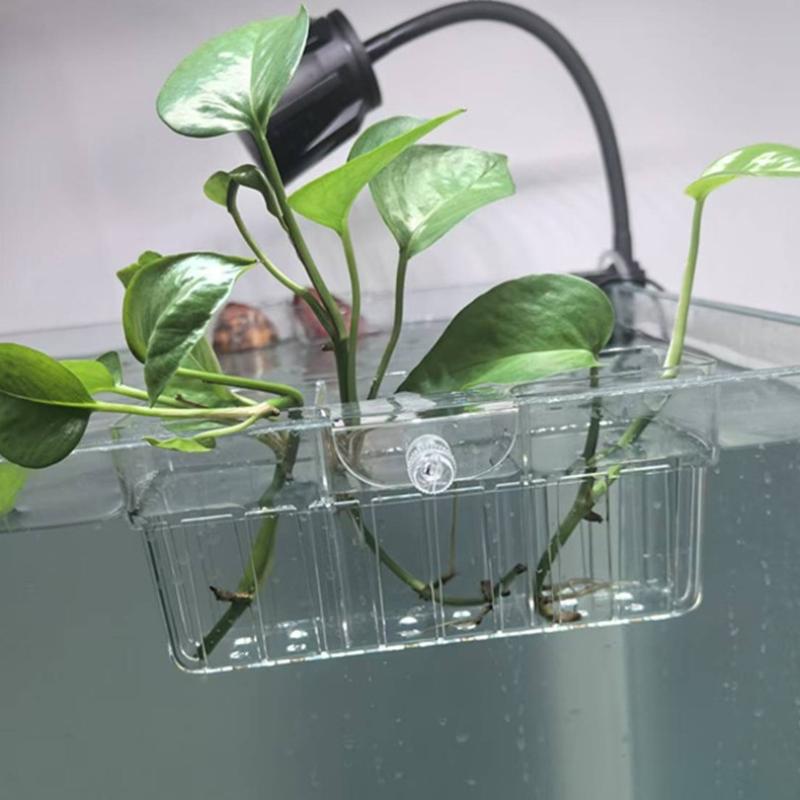 Hidroponik Bitki Sepeti Gıda S - Aquarium Planted Tank incelemesi ve fiyatı