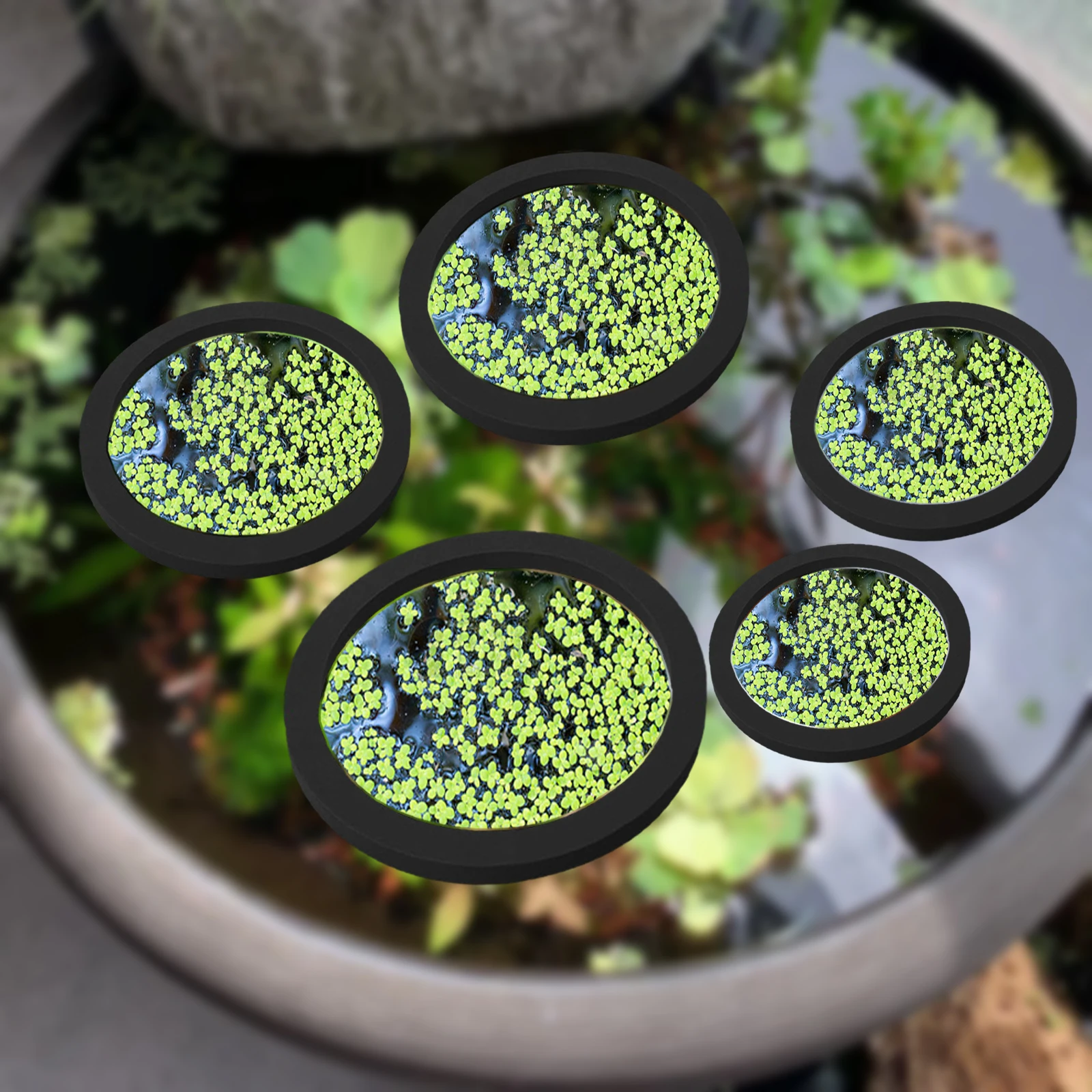5 adet EVA balık besleme halka - Aquarium Planted Tank incelemesi ve fiyatı