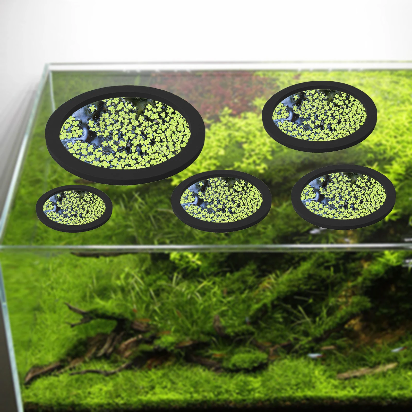 5 adet EVA balık besleme halka - Aquarium Planted Tank incelemesi ve fiyatı