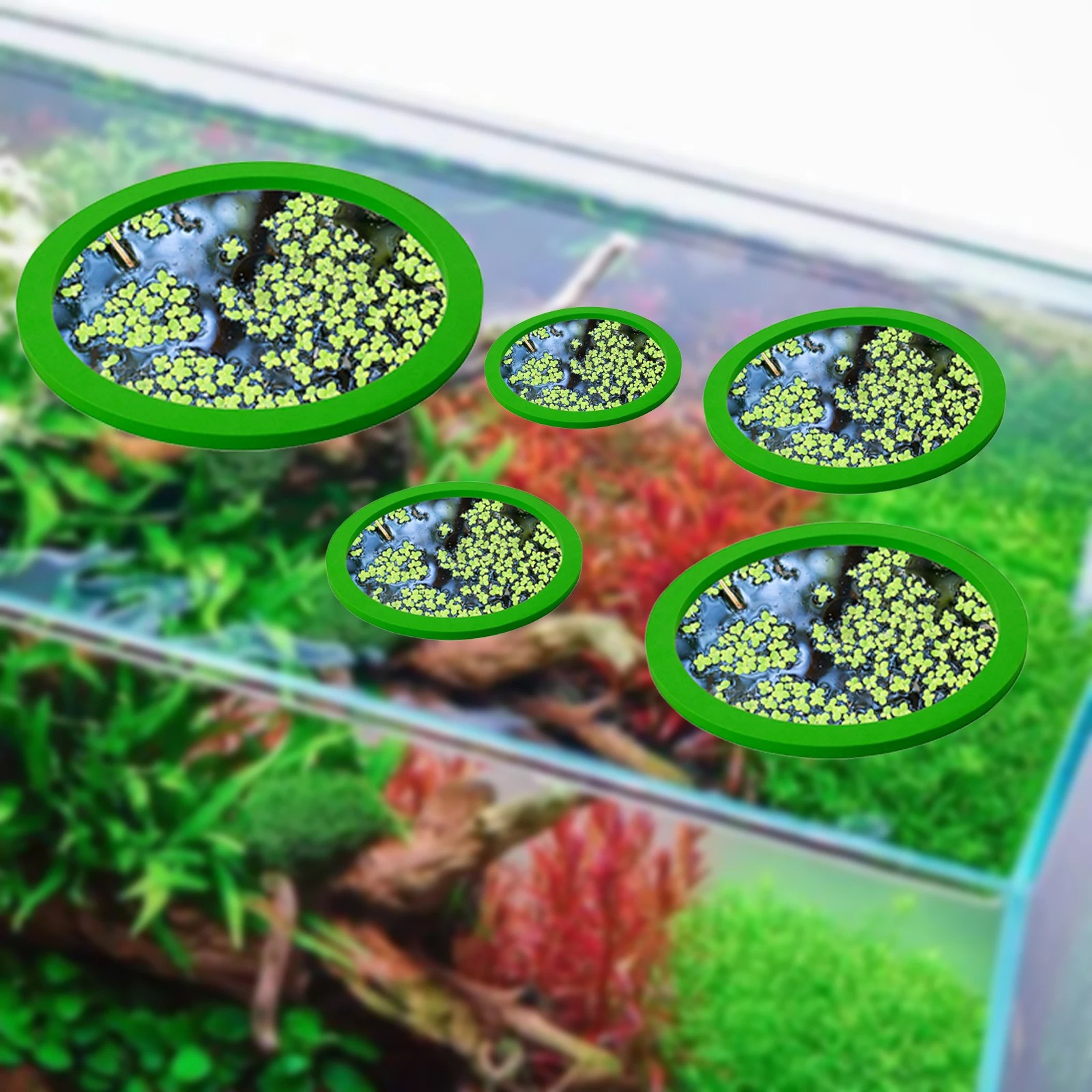 5 adet EVA balık besleme halka - Aquarium Planted Tank incelemesi ve fiyatı