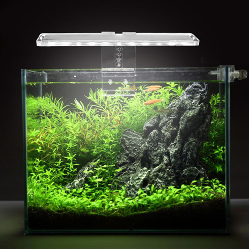LED akvaryum lamba bitki ışık  - Planted Aquarium Best Fish incelemesi ve fiyatı