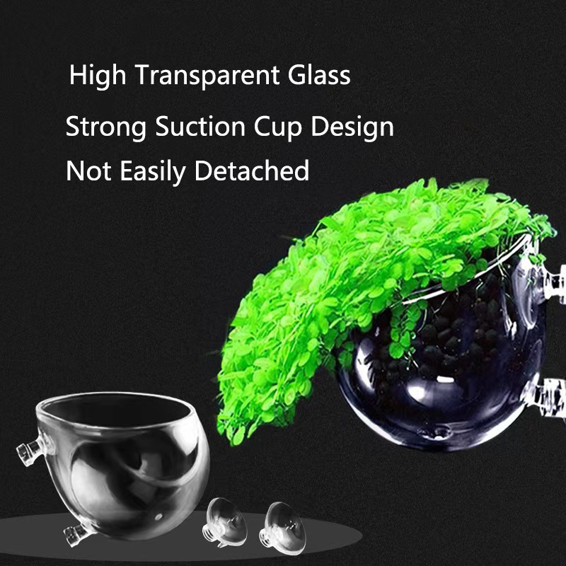 Cam akvaryum dekorasyon asılı  - Planted Aquarium Mini incelemesi ve fiyatı