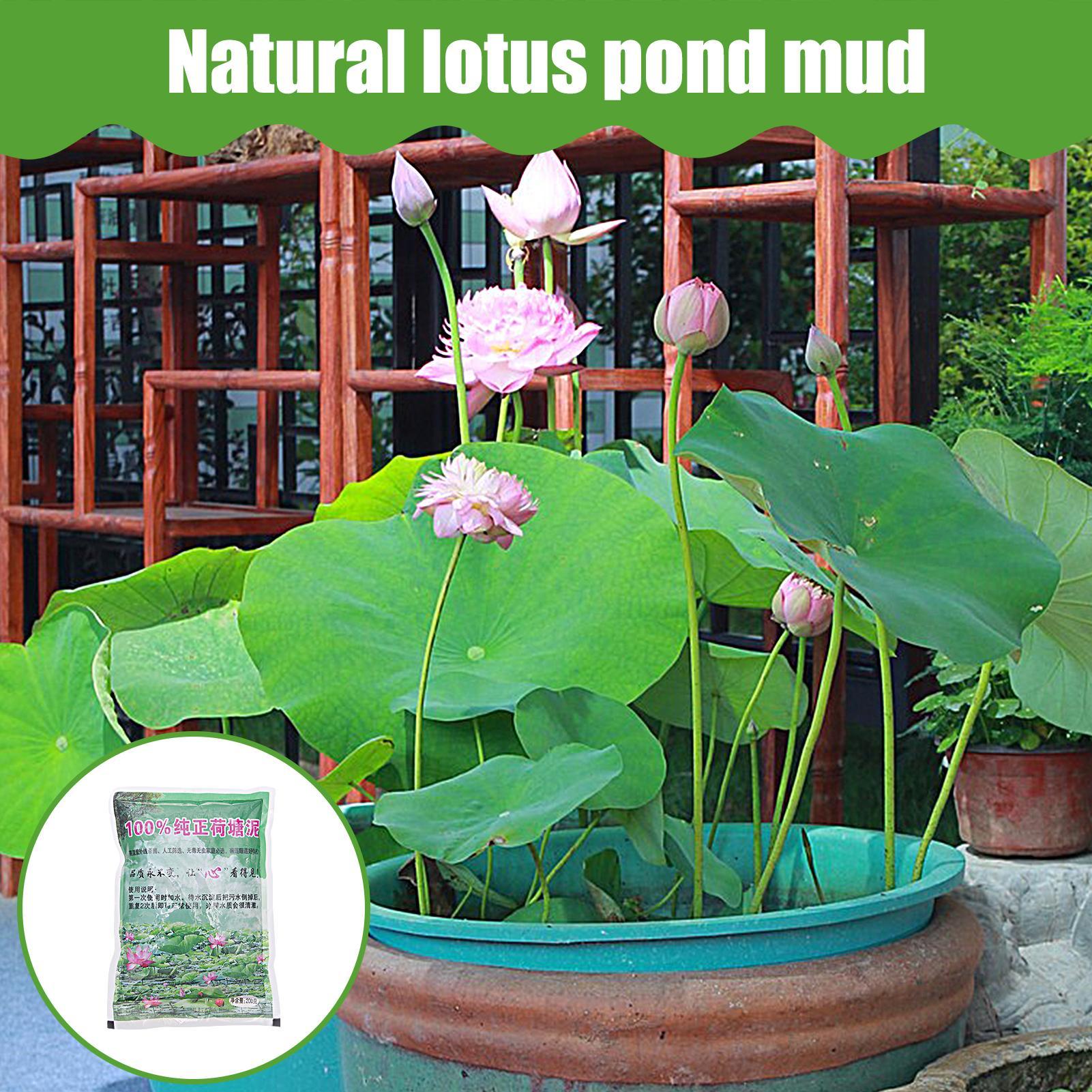 200 g/torba Akvaryum Toprağı D - Aquarium Planted Seeds incelemesi ve fiyatı