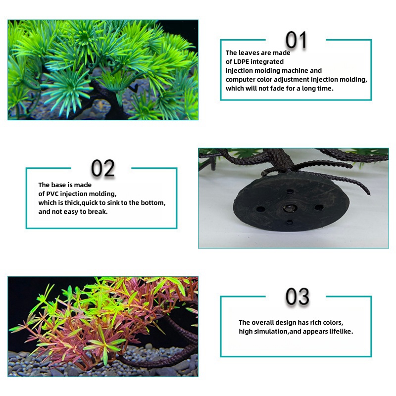 Akvaryum Bonsai Ağacı, Bitki,  - Aquarium Planted Seeds incelemesi ve fiyatı