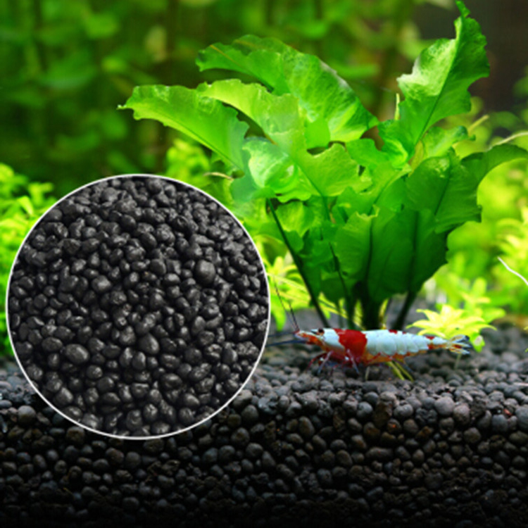 Akvaryum bitki tohumları topra - Aquarium Planted Tank incelemesi ve fiyatı