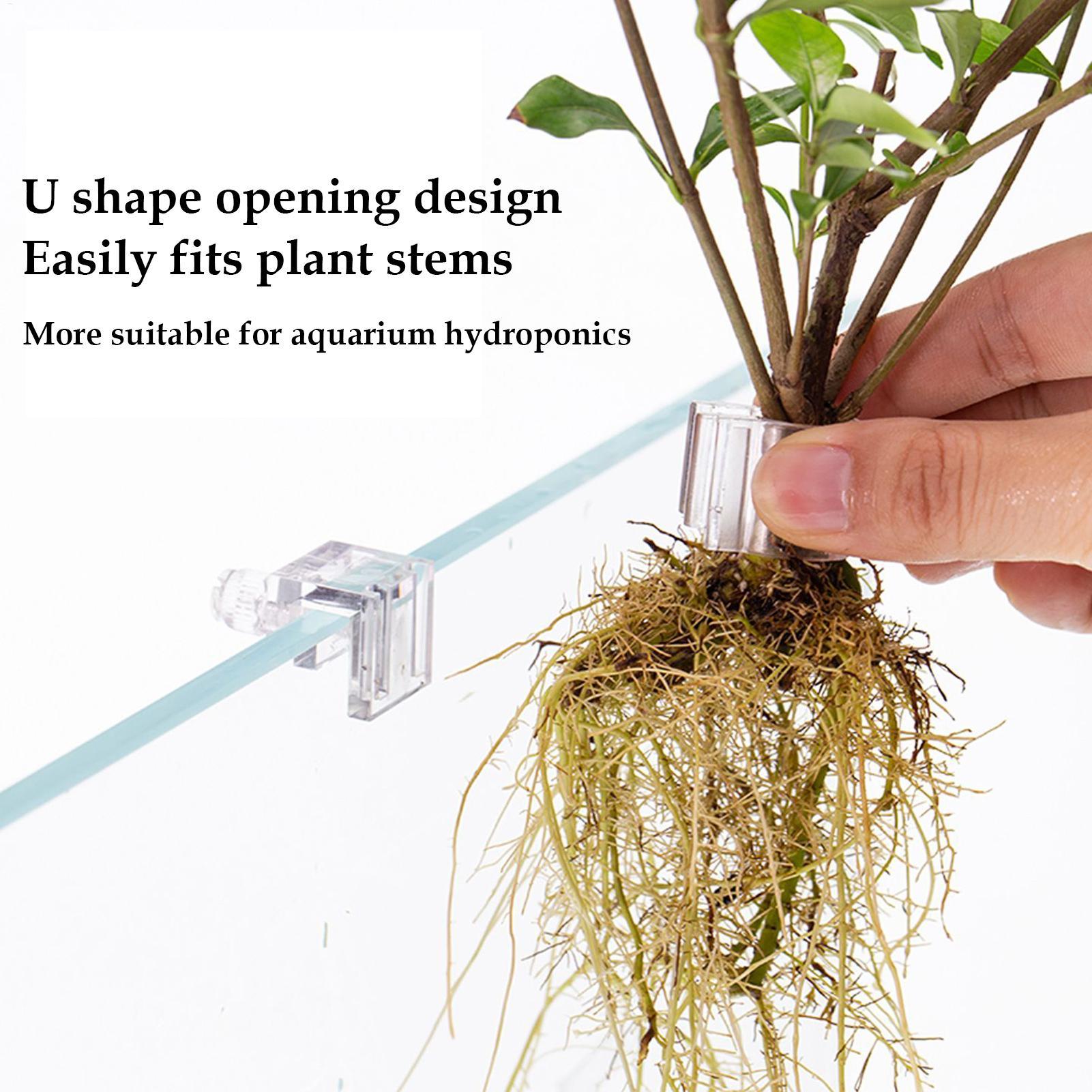 Mini Balık Tankı Saksı 6 Adet  - Planted Aquarium Mini incelemesi ve fiyatı