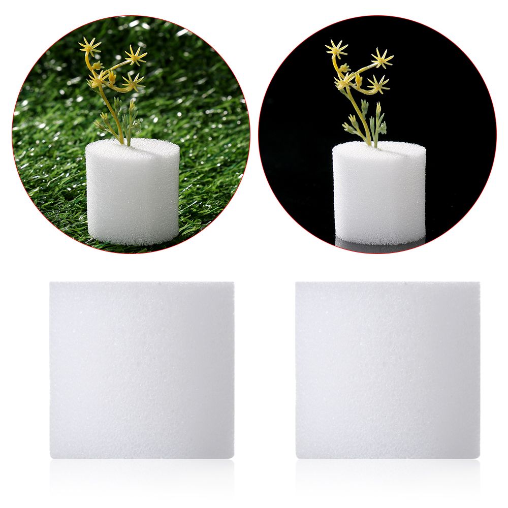 10/50 adet dayanıklı bahçe mal - Aquarium Planted Seeds incelemesi ve fiyatı