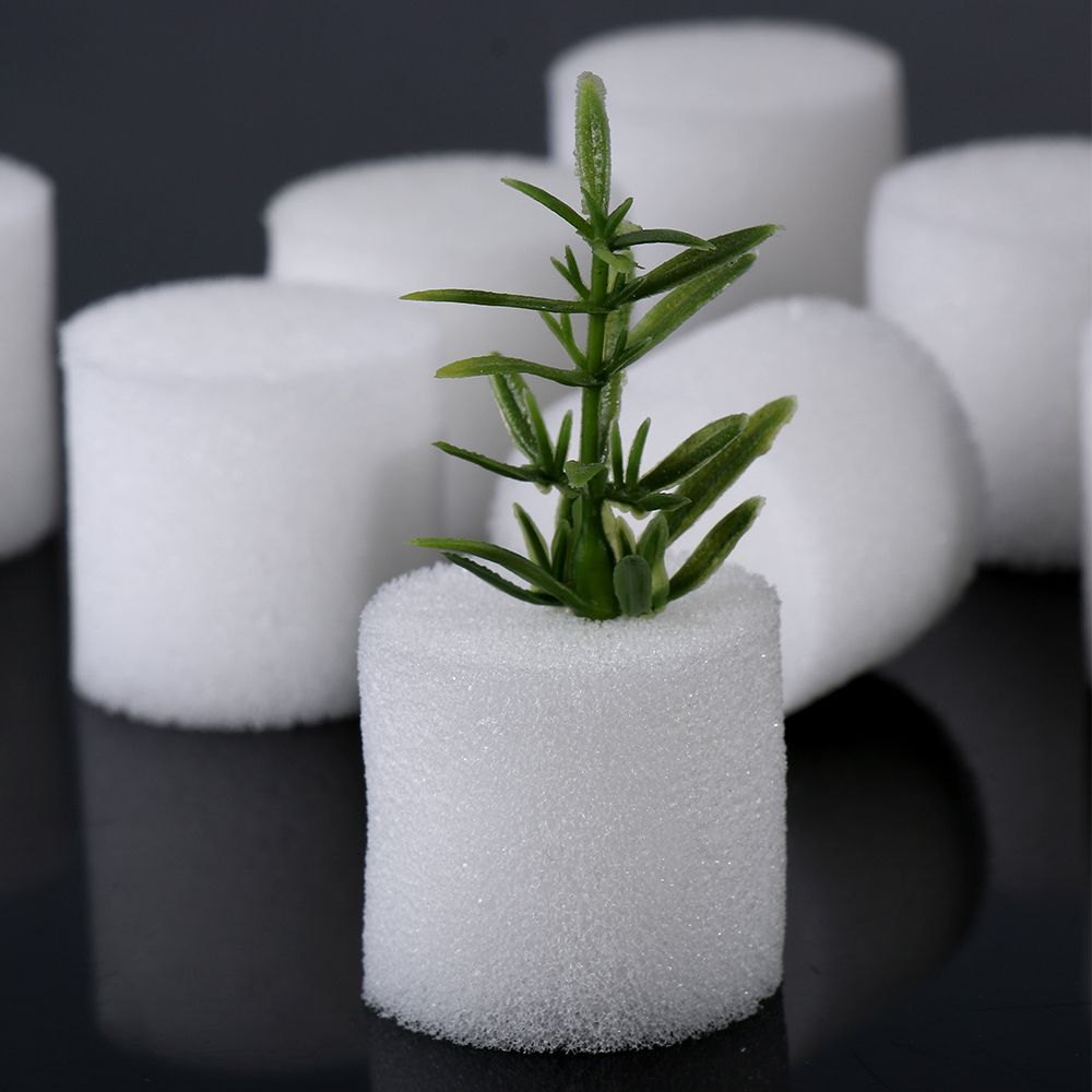 10/50 adet dayanıklı bahçe mal - Aquarium Planted Seeds incelemesi ve fiyatı