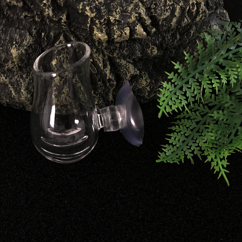 Akvaryum dekorasyon asılı balı - Planted Aquarium Mini incelemesi ve fiyatı