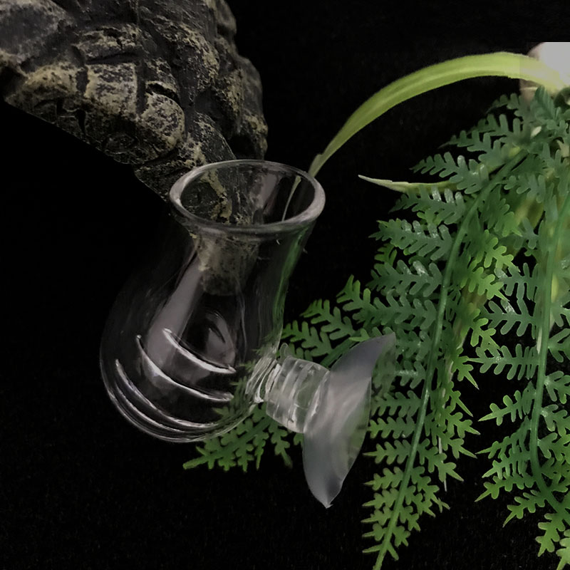 Akvaryum dekorasyon asılı balı - Planted Aquarium Mini incelemesi ve fiyatı