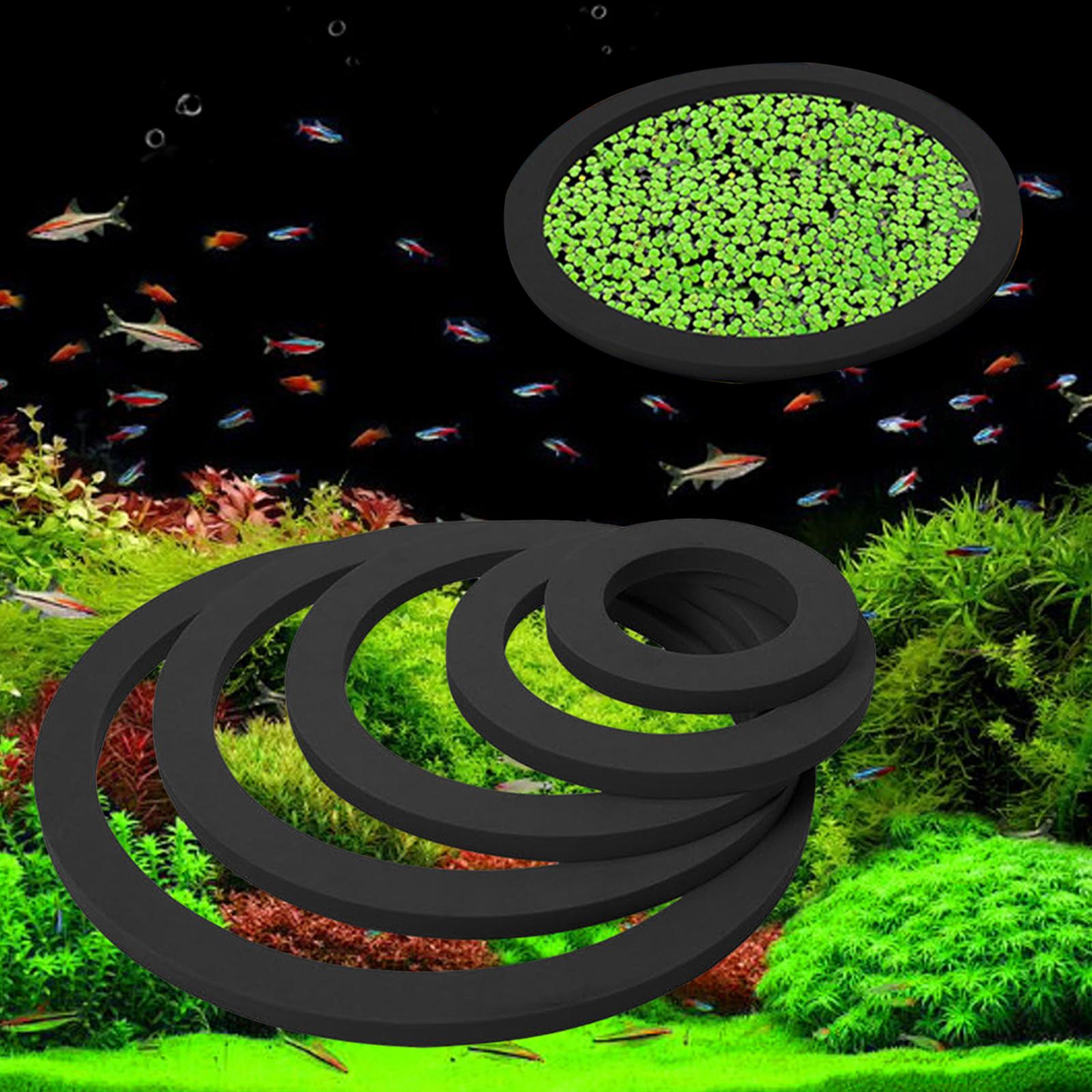 Akvaryum Yüzen Bitki Halkası,  - Aquarium Plant Nutrients incelemesi ve fiyatı