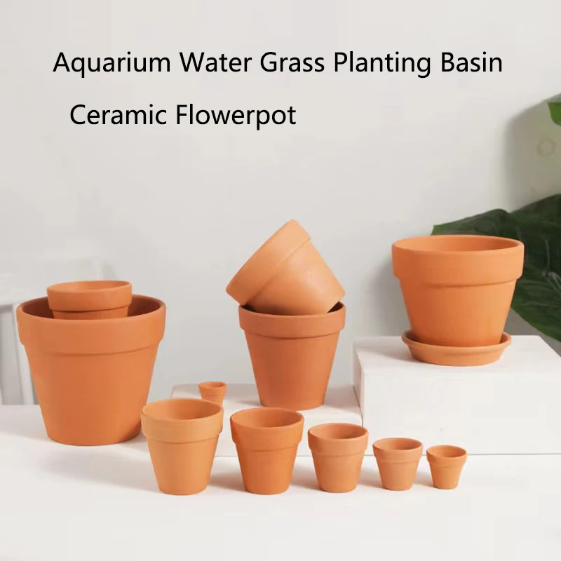 Kırmızı Çamur Akvaryum Dekoras - Planted Aquarium Mini incelemesi ve fiyatı