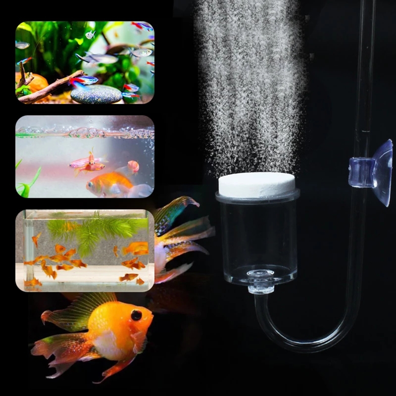 4 adet Set DIY CO2 difüzör içi - Planted Aquarium Co2 incelemesi ve fiyatı