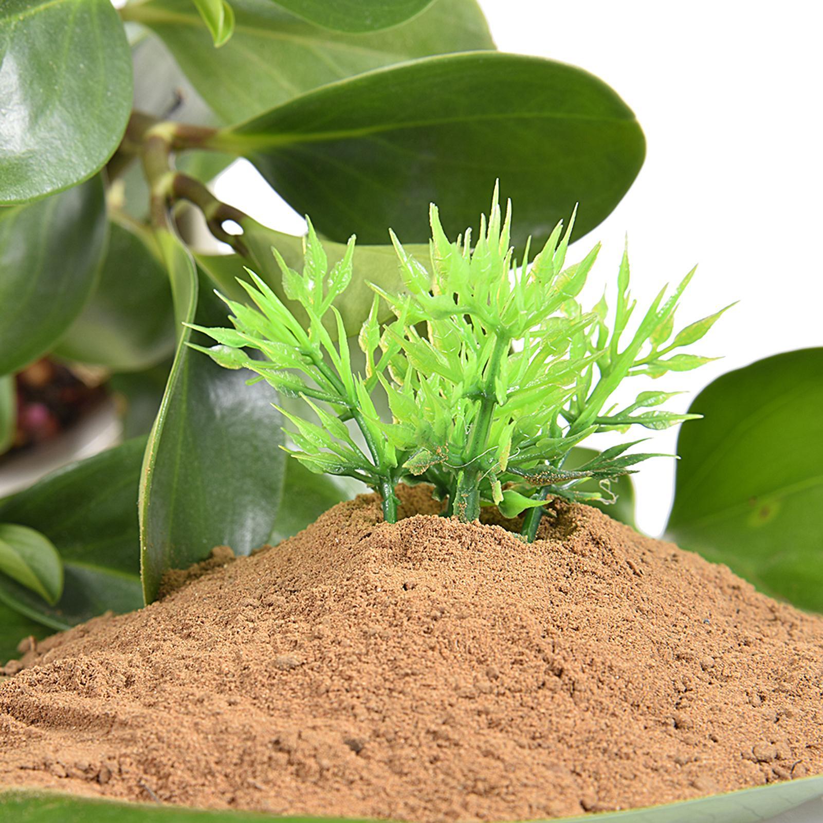 Su Bitkileri ve Nilüferler içi - Aquarium Plant Nutrients incelemesi ve fiyatı